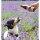TJURE Hundesmoothie - Rind & Kartoffel - SparAktion 10+2 | Getreidefrei | leichte Verdauung