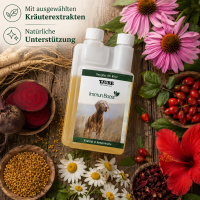TJURE - Immun Boost - 500 ml | Extraportion Wohlbefinden | Kräftigung der Immunabwehr |