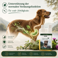 TJURE - Gastro Liquid - 500 ml | Ursachenbekämpfung bei Durchfall |  unterstützt die Verdauung