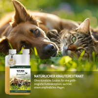 TJURE - Ulmenrinde Liquid 250 ml | Naturkraft für ein gutes Bauchgefühl