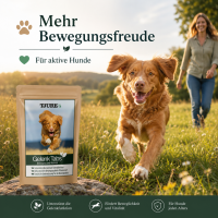 TJURE - Gelenk Tabs 2 x 250 g  Spar Pack | Reduziert Gelenkprobleme | fördert Gelenkgesundheit