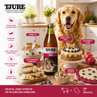 TJURE Hundesmoothie - Rind & Kartoffel 320 ml  | erlesene Kräuter