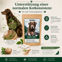 TJURE - Gastro Tabs 250 g  | Für den Gesunden Magen und Darm