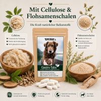 TJURE - Gastro Tabs 250 g  | Für den Gesunden Magen und Darm