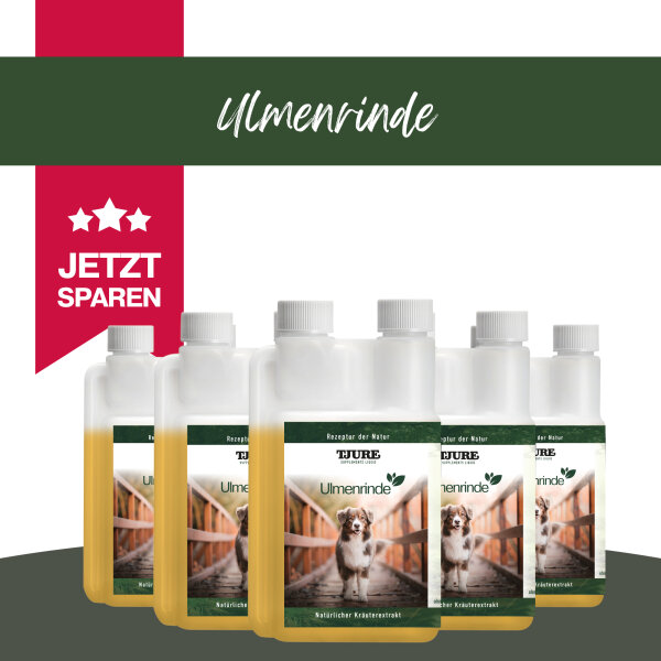 TJURE - Ulmenrinde Liquid - 2500 ml | Naturkraft für ein gutes Bauchgefühl