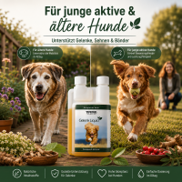 TJURE - Gelenk Liquid - 500 ml | optimale Unterstützung für die Gelenke | Kräftigung der Gelenkfunktionen |
