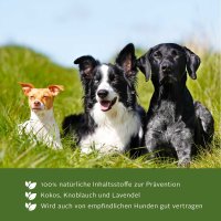 Tjure ZecPrevent – 500ml Natürliche Zeckenabwehr für Deinen Hund