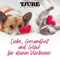 TJURE Hund - Kalb mit Beeren 220 ml Flasche