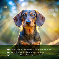 TJURE - Nieren & Blasen Liquid - 500 ml Dosierflasche