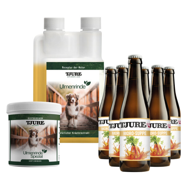Magen & Darm Set - Für ein starkes, entspanntes Bauchgefühl – Tag für Tag