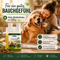 Magen & Darm Set - Für ein starkes, entspanntes...