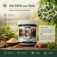 Magen & Darm Set - Für ein starkes, entspanntes Bauchgefühl – Tag für Tag