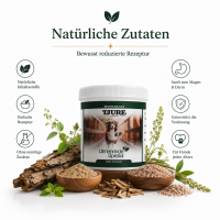 Magen & Darm Set - Für ein starkes, entspanntes Bauchgefühl – Tag für Tag