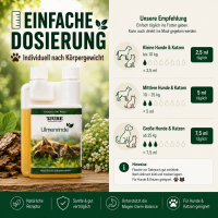 Magen & Darm Set - Für ein starkes, entspanntes Bauchgefühl – Tag für Tag