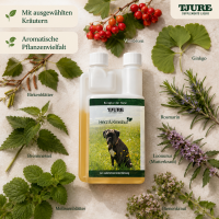 Innere Stärke Set - für Vitalität, Balance & ein langes Hundeleben