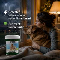 Ruhe und Gelassenheit Set - Für innere Ruhe und entspannten Alltag