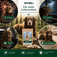 Ruhe und Gelassenheit Set - Für innere Ruhe und entspannten Alltag