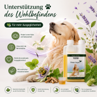 Ruhe und Gelassenheit Set - Für innere Ruhe und entspannten Alltag