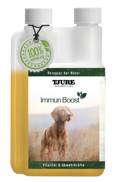 TJURE - Immun Boost - 500 ml | Extraportion Wohlbefinden | Kräftigung der Immunabwehr |