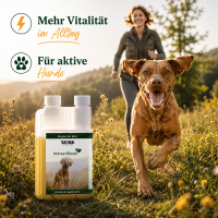 TJURE - Immun Boost - 500 ml | Extraportion Wohlbefinden...