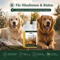 TJURE - Mönchspfeffer Liquid - 500 ml  | Hormonbalance für glückliche Hunde |  bei Läufigkeit | Scheinträchtigkeit