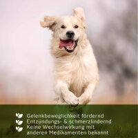 TJURE - Teufelskralle Liquid - 3.000 ml | So fördert man Gelenkbeweglichkeit | Entzündungshemmend |