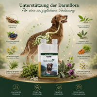TJURE - Gastro Liquid - 500 ml | Ursachenbekämpfung bei Durchfall |  unterstützt die Verdauung