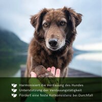 TJURE - Gastro Liquid - 2500 ml | Ursachenbekämpfung bei Durchfall |  unterstützt die Verdauung