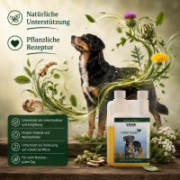 Frühjahrs Immun Bundle – Ganzheitliche Premium-Unterstützung für deinen Hund