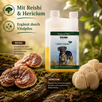 Frühjahrs Immun Bundle – Ganzheitliche Premium-Unterstützung für deinen Hund