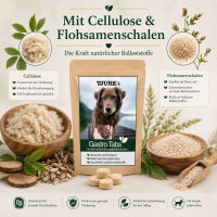 TJURE - Gastro Bundle | Tabs 250 g + 500ml Gastro Liquid  | Für den Gesunden Magen und Darm