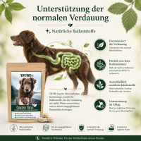 TJURE - Gastro Bundle | Tabs 250 g + 500ml Gastro Liquid  | Für den Gesunden Magen und Darm