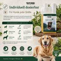 TJURE - Gastro Bundle | Tabs 250 g + 500ml Gastro Liquid  | Für den Gesunden Magen und Darm