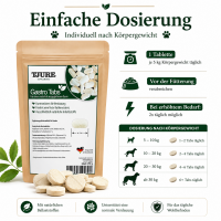 TJURE - Gastro Bundle | Tabs 250 g + 500ml Gastro Liquid  | Für den Gesunden Magen und Darm