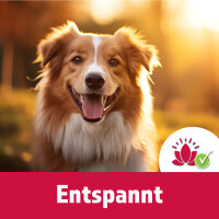 TJURE Silvester Relax – 4-Wochen-Paket