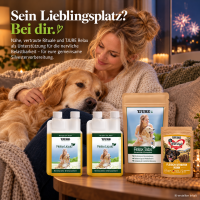 TJURE Silvester Relax – 4-Wochen-Paket