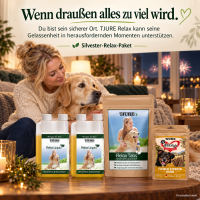 TJURE Silvester Relax – 4-Wochen-Paket