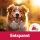 TJURE Silvester Relax – 4-Wochen-Paket