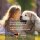 TJURE Silvester Relax – 4-Wochen-Paket