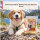 TJURE LOVESTYLE  Hund - Lammkopfhaut 250g.