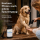 TJURE Outdoor Wash  für Hunde | saubere Pfoten. überall