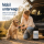 TJURE Outdoor Wash  für Hunde | saubere Pfoten. überall